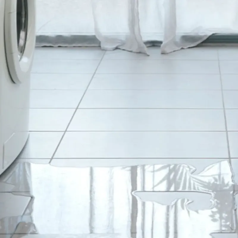 Appliance Leak Cleanup in Prien, LA