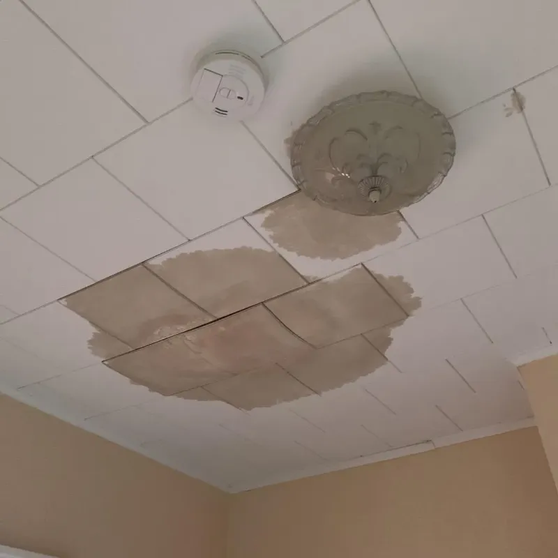 Ceiling Water Damage Repair in Prien, LA
