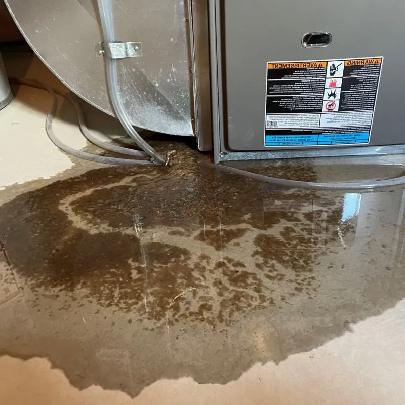 Pipe Burst and Leak Restoration in Prien, LA