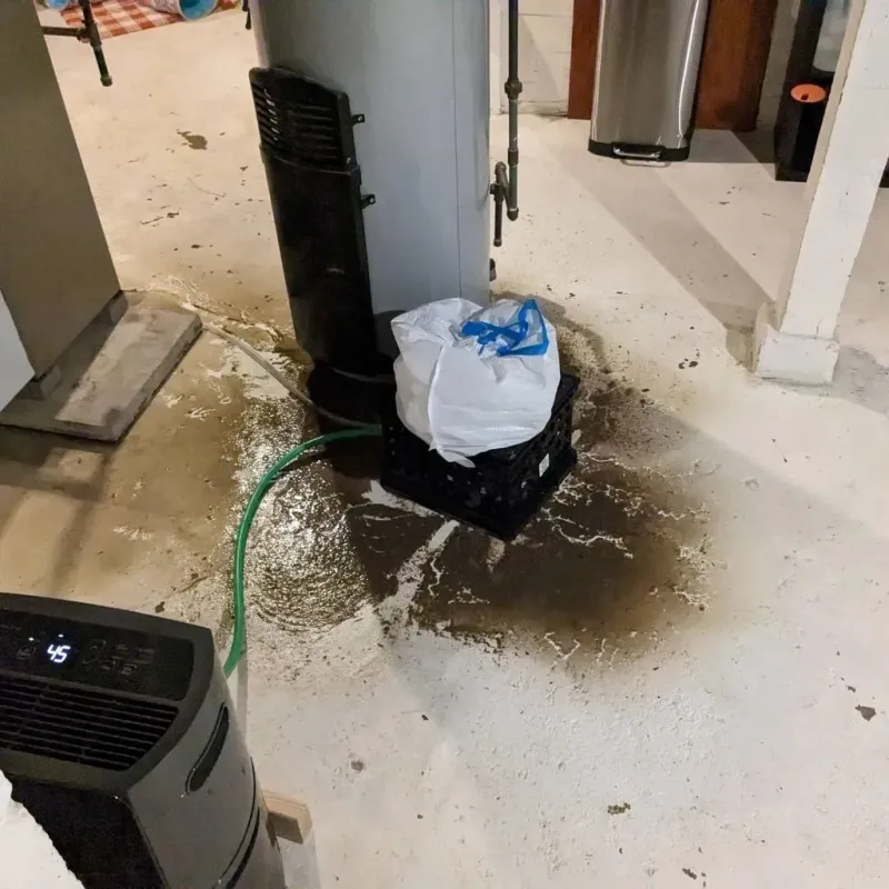 Sewage Backup Cleanup Service in Prien, LA
